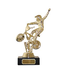 BMX statuett i gullvalør
