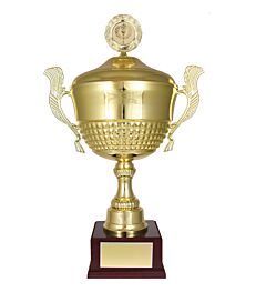Gullpokal med lokk