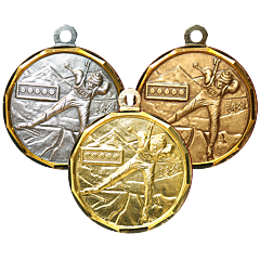Skiskyting Messingmedalje
