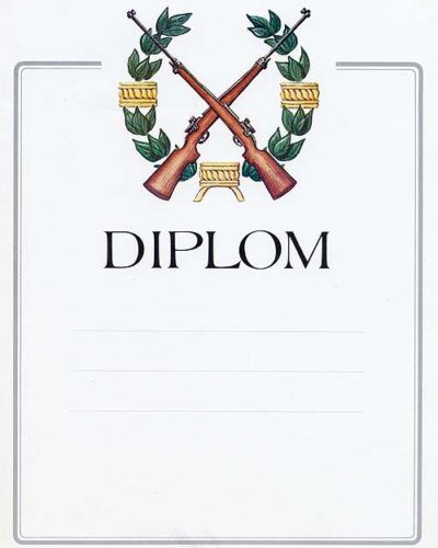 diplom-skyting