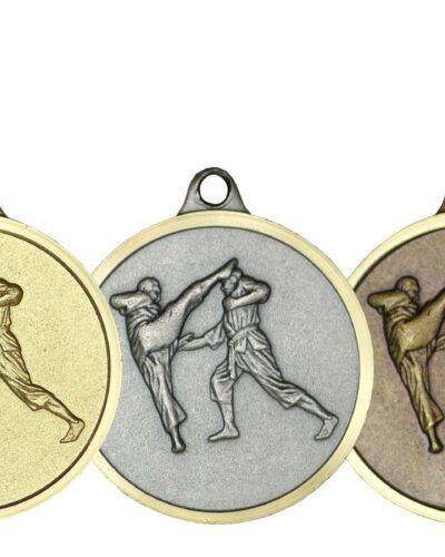 Kampsport Messingmedalje