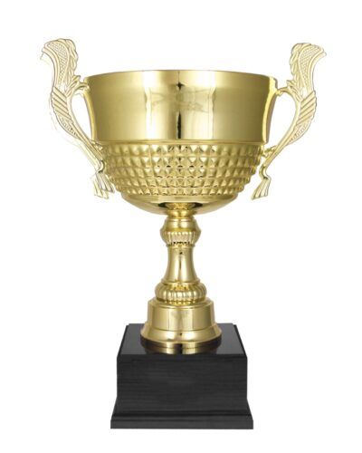 Champion uten lokk