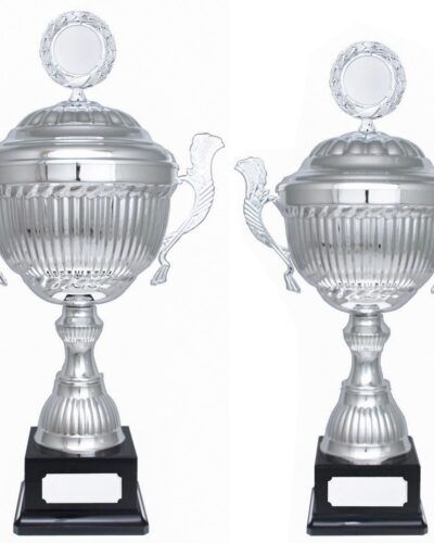 Store sølvpokaler, Magnum