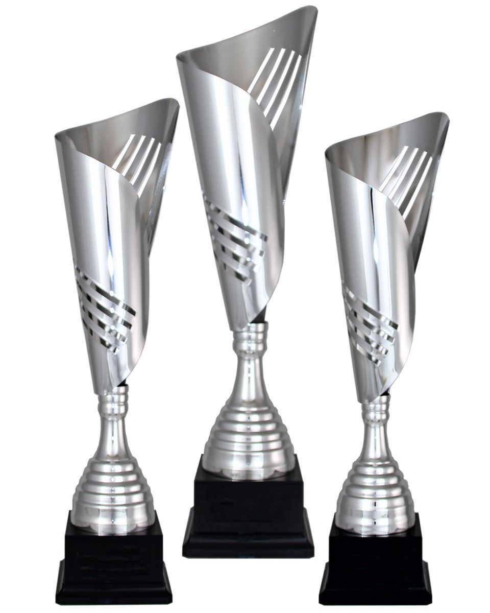 Nordlys Sølvpokaler - Bilde 3