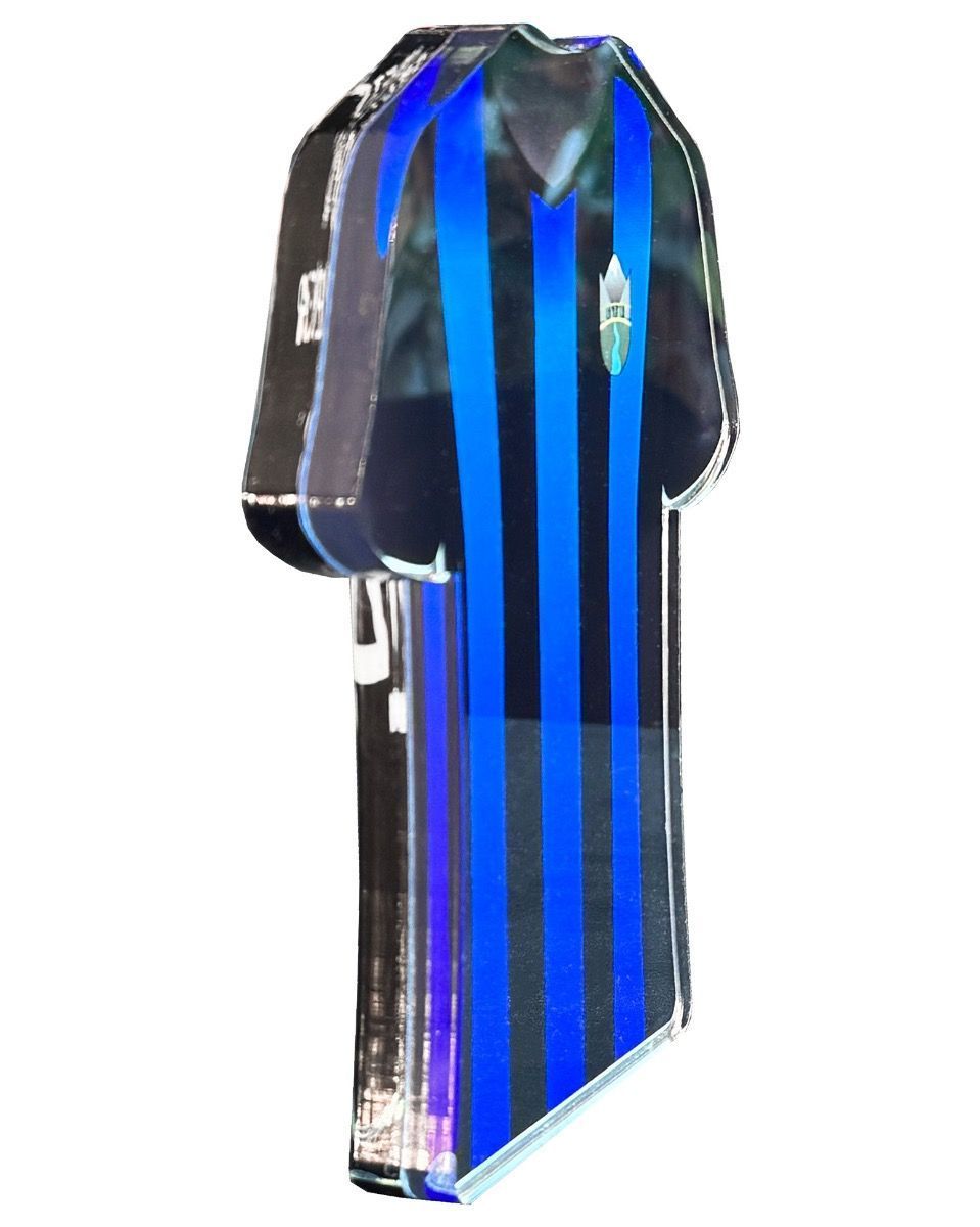 Klubbtrøye Premie Eget Design - Bilde 5