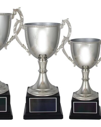 Forsølvet pokal i høy kvalitet