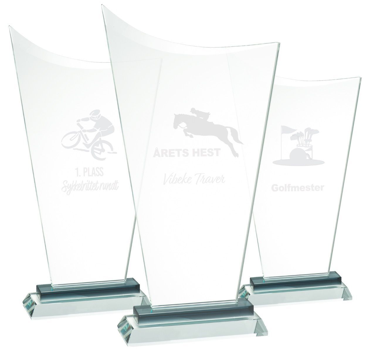 Pallas Glassplaketter - Bilde 5