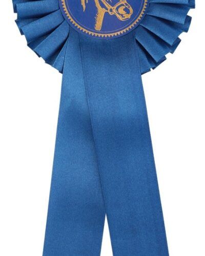 Rosett Blå - Enkel 30cm