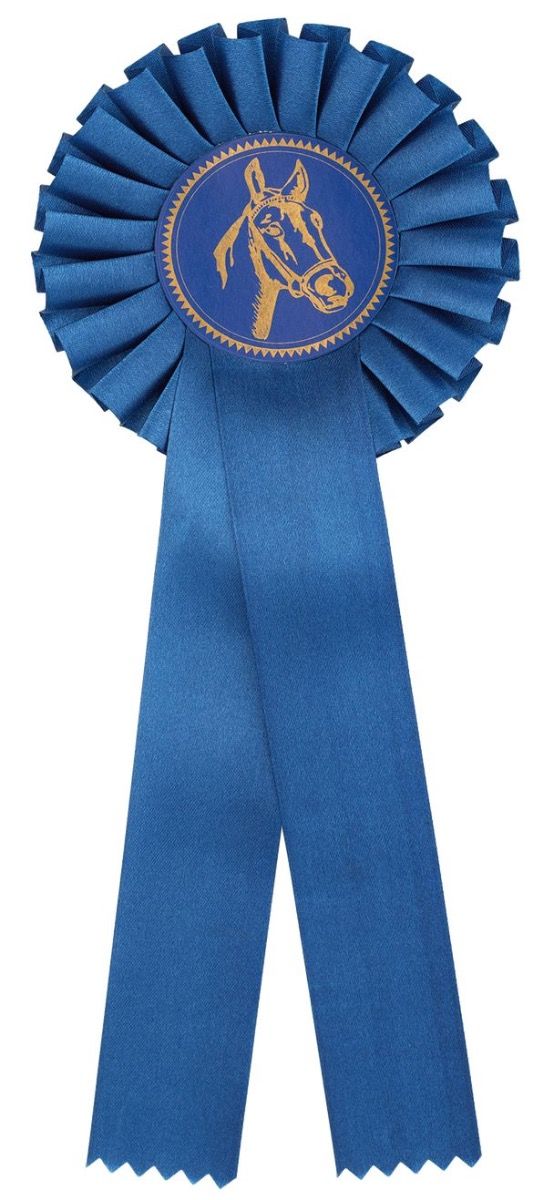 Rosett Blå - Enkel 30cm