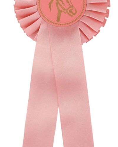 Rosett Rosa - Enkel 30cm