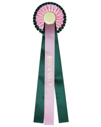 Rosetter til hundeutstilling valp. Rosett ferdig trykt med BIS 4 VALP.