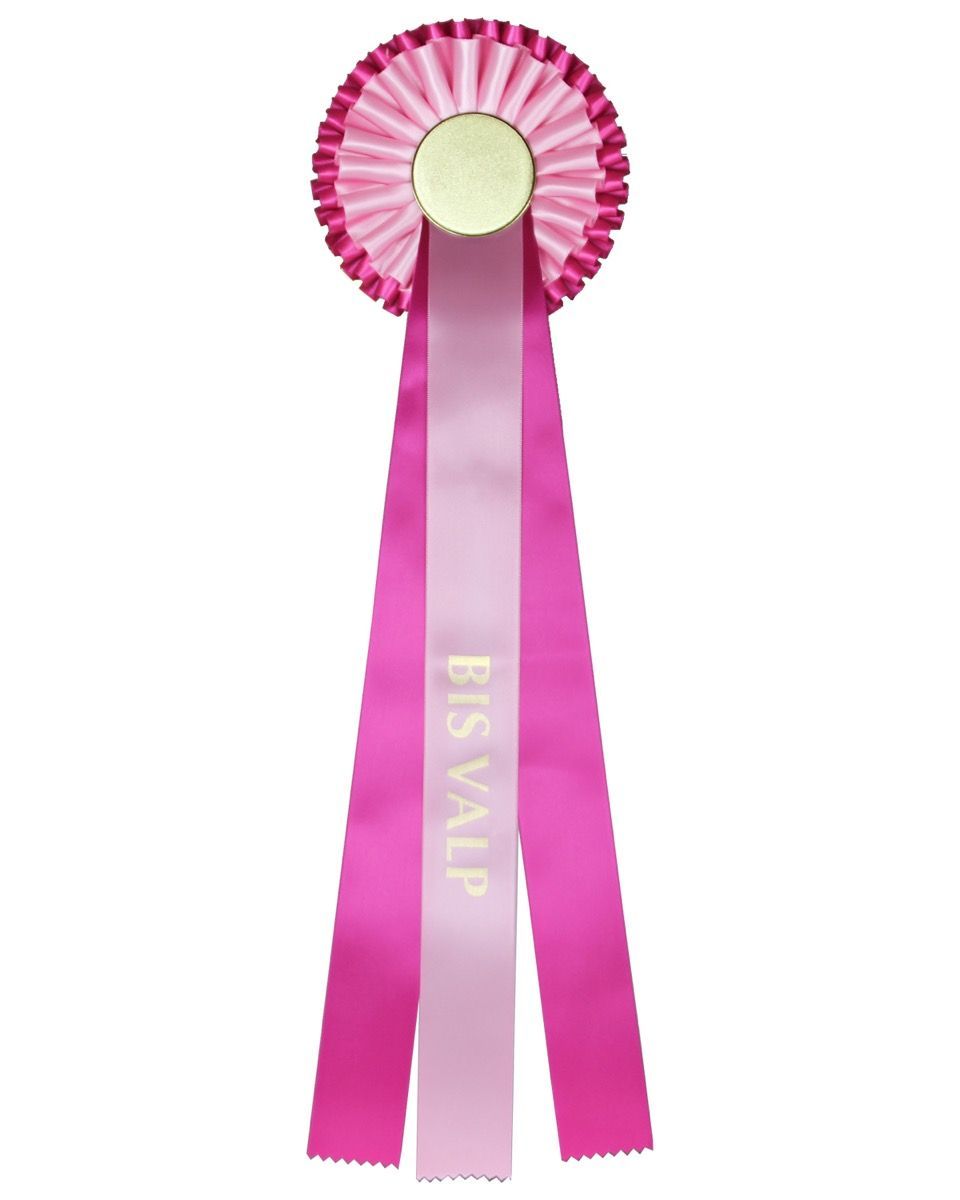 Rosett BIS VALP - Rosa