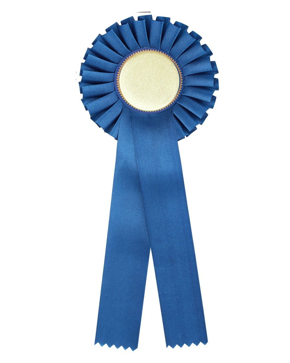 Rosett Blå - Enkel - Bilde 4