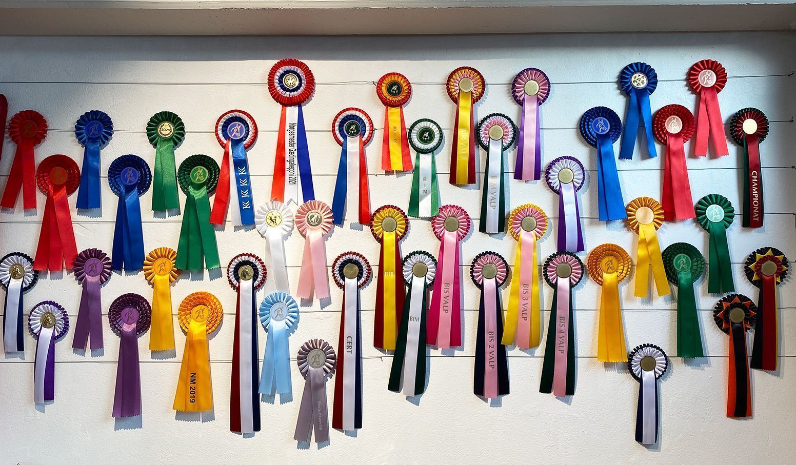 Rosett - Blå Hvit - Bilde 2