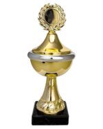 Tilbudspokal Gull Sølv 21cm