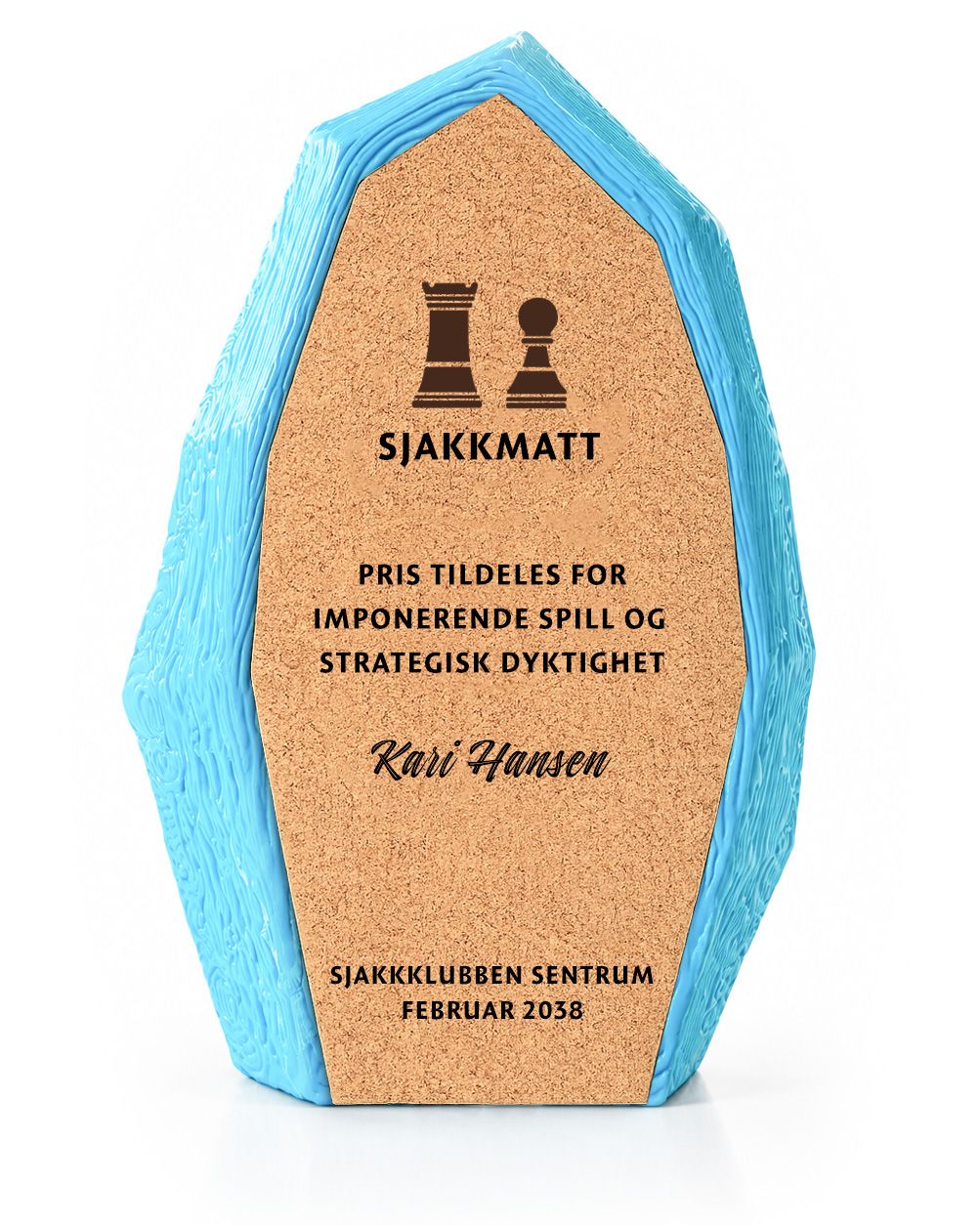 Summit Award - Bilde 2