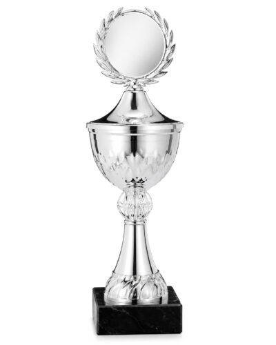 Lokal Sølvpokal